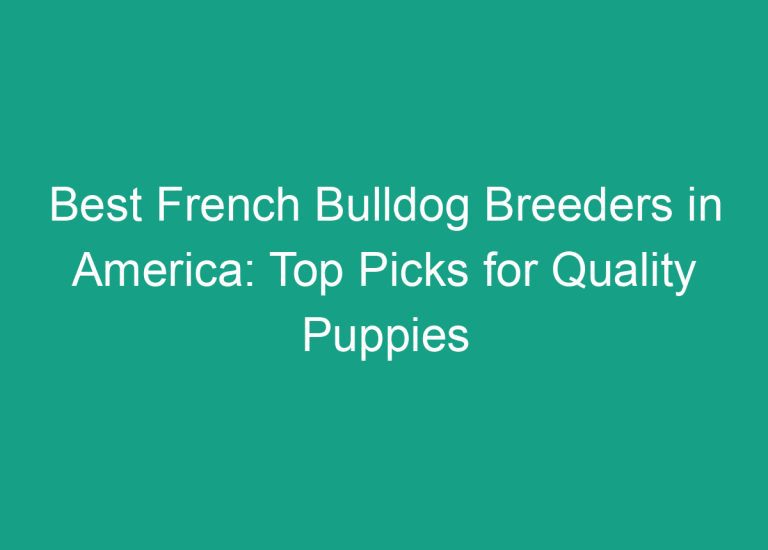 Best French Bulldog Breeders in America: Top Picks for Quality Puppies