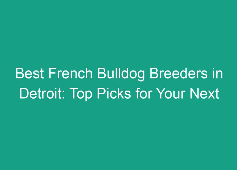 Best French Bulldog Breeders in Detroit: Top Picks for Your Next Furry Friend