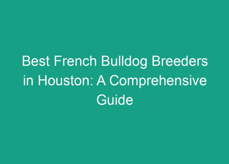 Best French Bulldog Breeders in Houston: A Comprehensive Guide