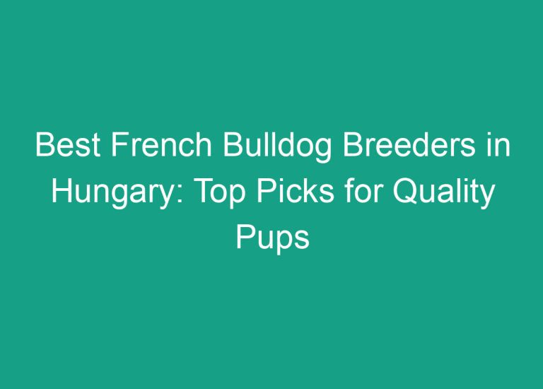 Best French Bulldog Breeders in Hungary: Top Picks for Quality Pups