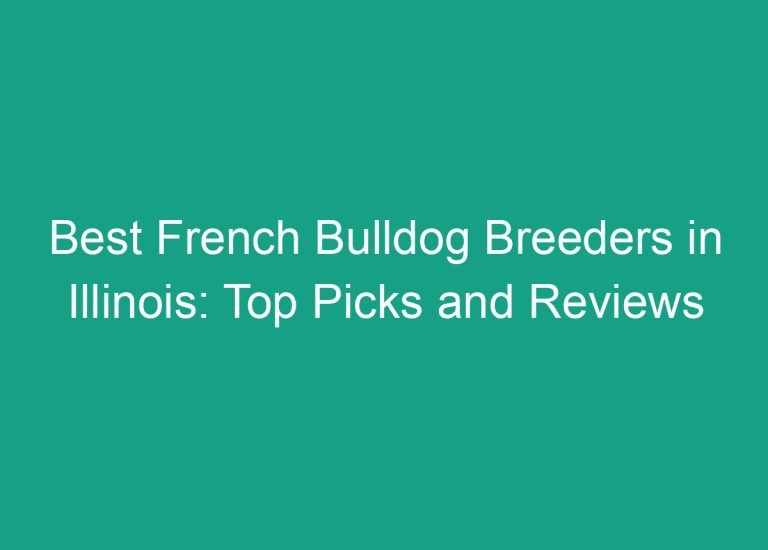 Best French Bulldog Breeders in Illinois: Top Picks and Reviews