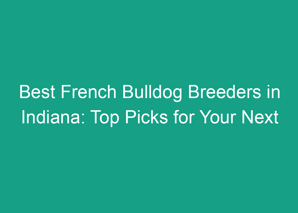 Best French Bulldog Breeders In Indiana Top Picks For Your Next Furry