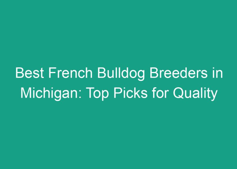 Best French Bulldog Breeders in Michigan: Top Picks for Quality Puppies