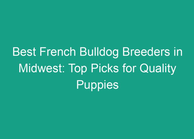 Best French Bulldog Breeders in Midwest: Top Picks for Quality Puppies