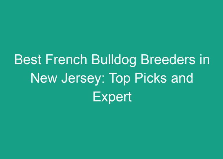 Best French Bulldog Breeders in New Jersey: Top Picks and Expert Insights