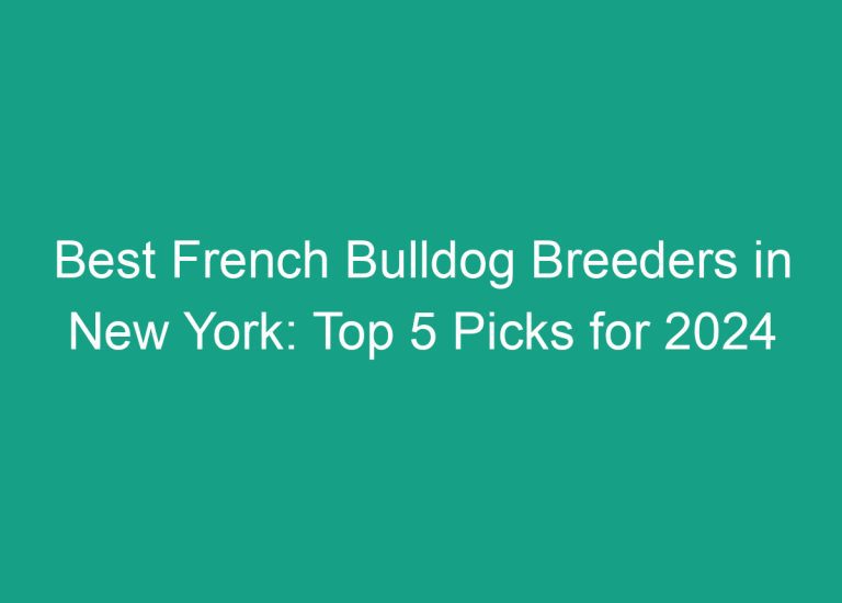 Best French Bulldog Breeders in New York: Top 5 Picks for 2024