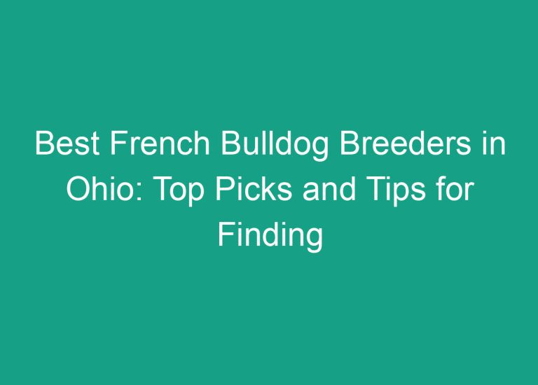 Best French Bulldog Breeders in Ohio: Top Picks and Tips for Finding Your Perfect Pup