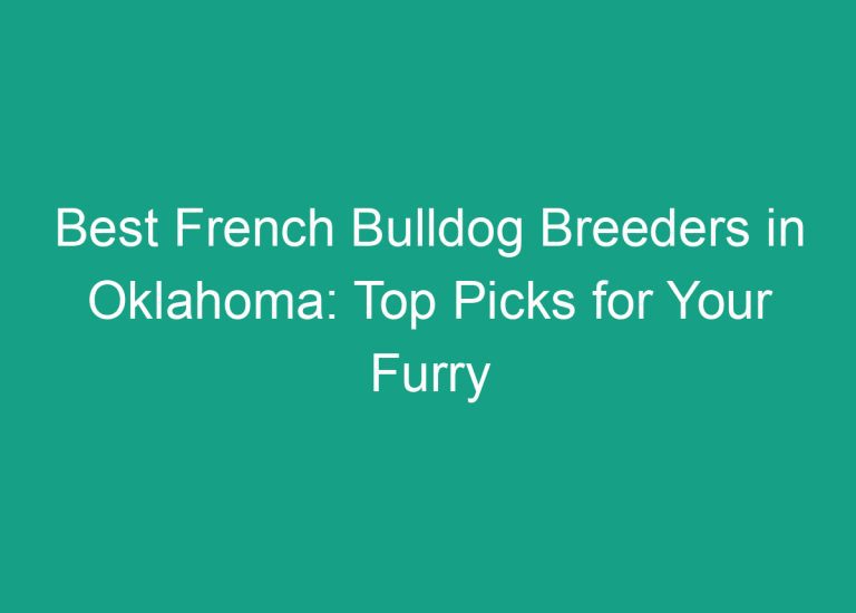Best French Bulldog Breeders in Oklahoma: Top Picks for Your Furry Friend