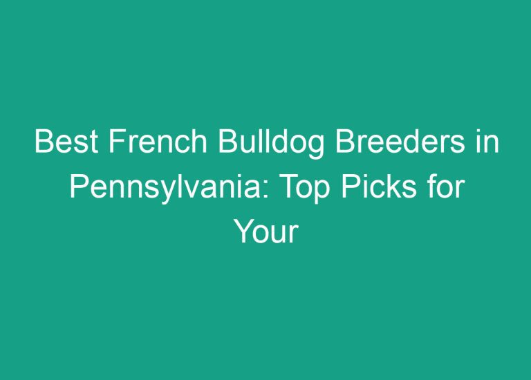 Best French Bulldog Breeders in Pennsylvania: Top Picks for Your Furry Friend