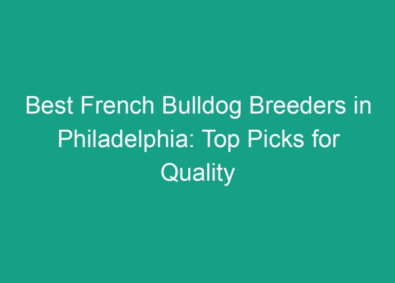 Best French Bulldog Breeders in Philadelphia: Top Picks for Quality Puppies