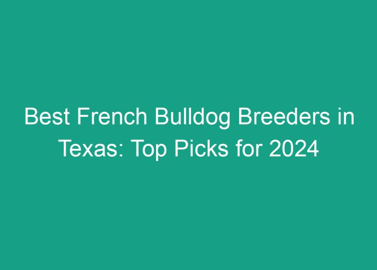 Best French Bulldog Breeders in Texas: Top Picks for 2024