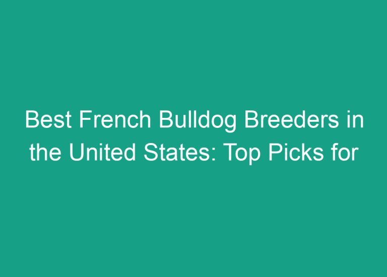 Best French Bulldog Breeders in the United States: Top Picks for Quality Pups
