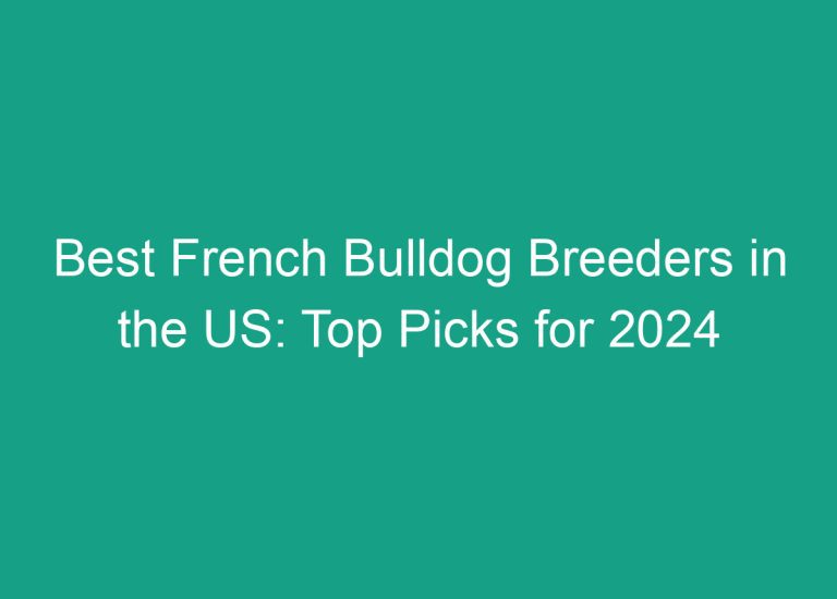 Best French Bulldog Breeders in the US: Top Picks for 2024