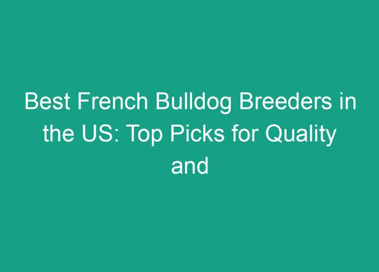 Best French Bulldog Breeders in the US: Top Picks for Quality and Reputation