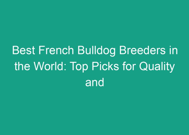 Best French Bulldog Breeders in the World: Top Picks for Quality and Reputation