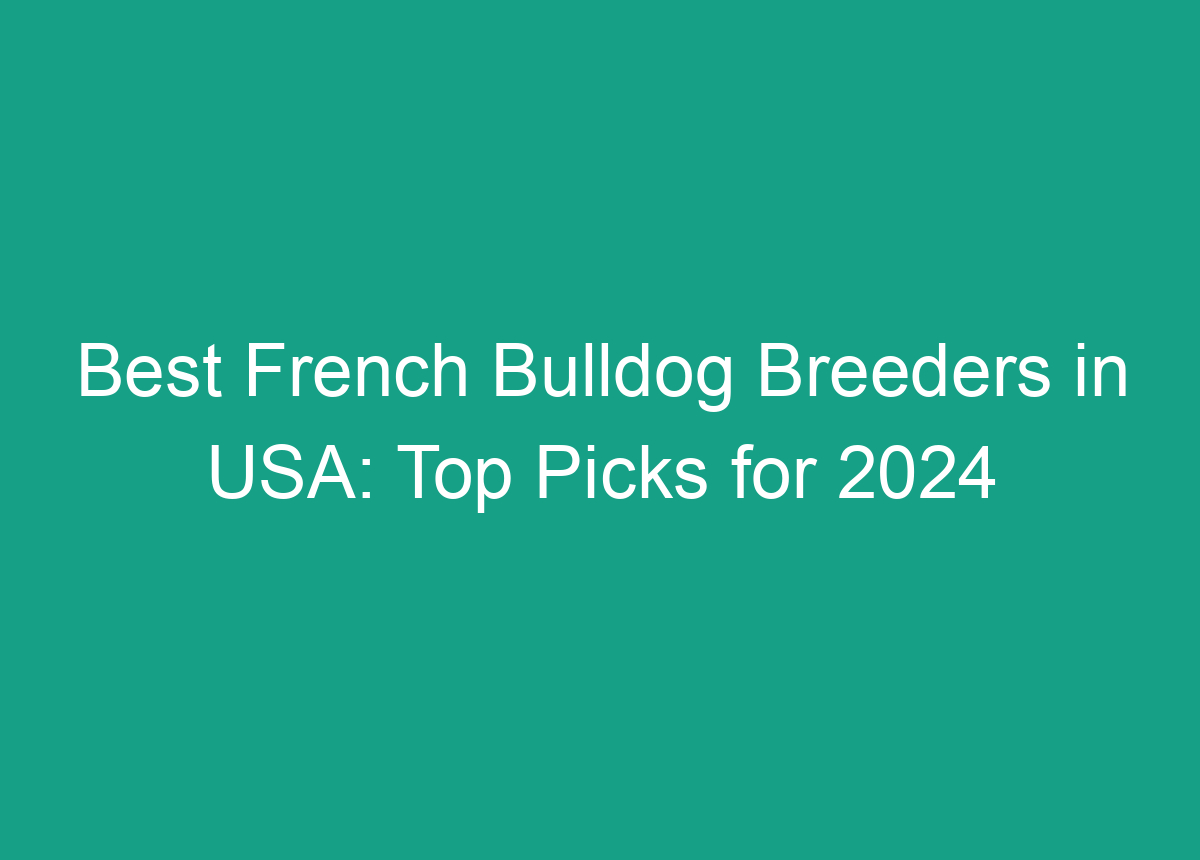 Best French Bulldog Breeders In USA: Top Picks For 2024