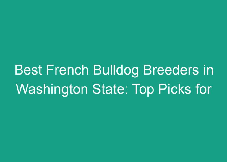 Best French Bulldog Breeders in Washington State: Top Picks for Quality Pups