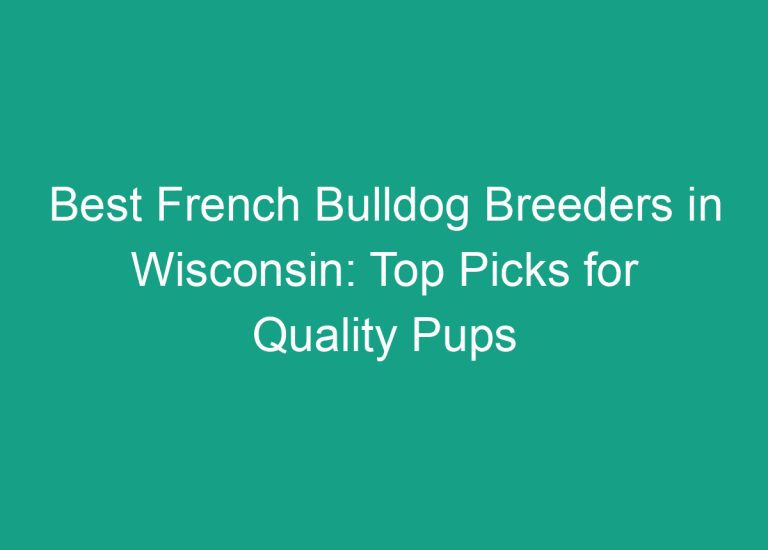 Best French Bulldog Breeders in Wisconsin: Top Picks for Quality Pups