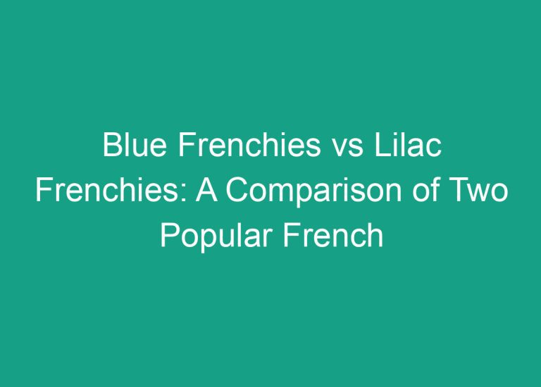 Blue Frenchies vs Lilac Frenchies: A Comparison of Two Popular French Bulldog Colors