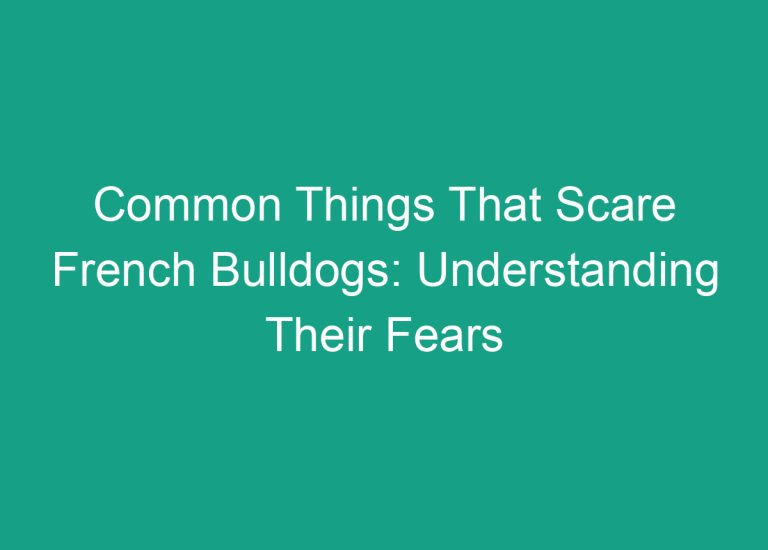 Common Things That Scare French Bulldogs: Understanding Their Fears