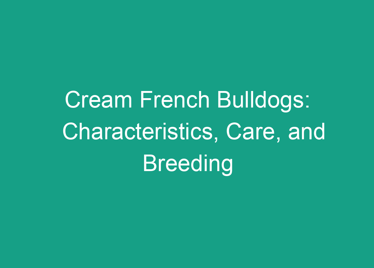 Cream French Bulldogs: Characteristics, Care, And Breeding