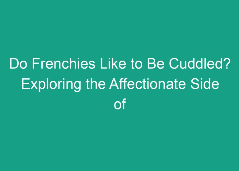 Do Frenchies Like to Be Cuddled? Exploring the Affectionate Side of French Bulldogs