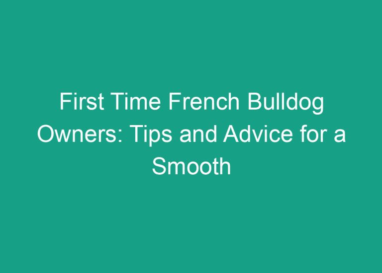 First Time French Bulldog Owners: Tips and Advice for a Smooth Transition
