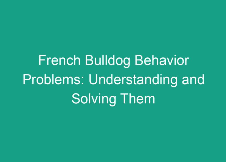 French Bulldog Behavior Problems: Understanding and Solving Them