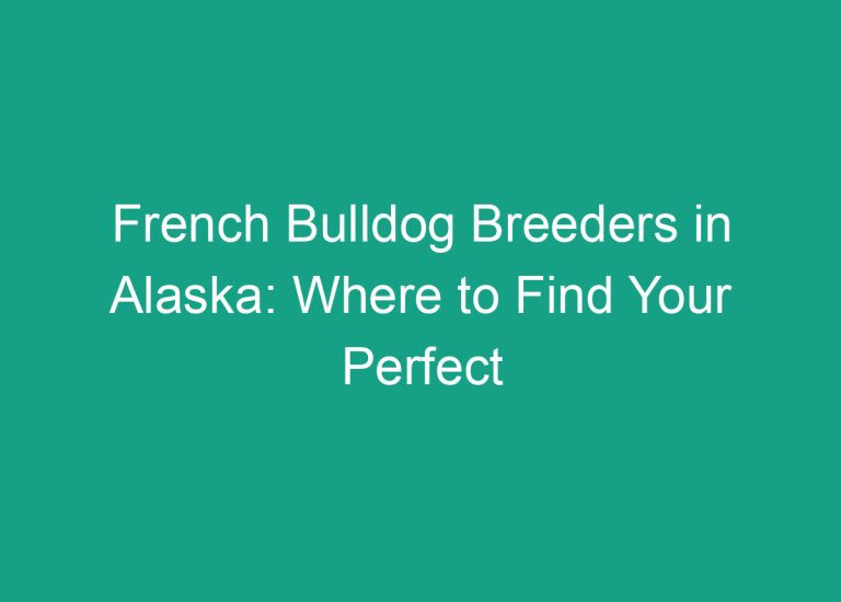 French Bulldog Breeders in Alaska: Where to Find Your Perfect Companion