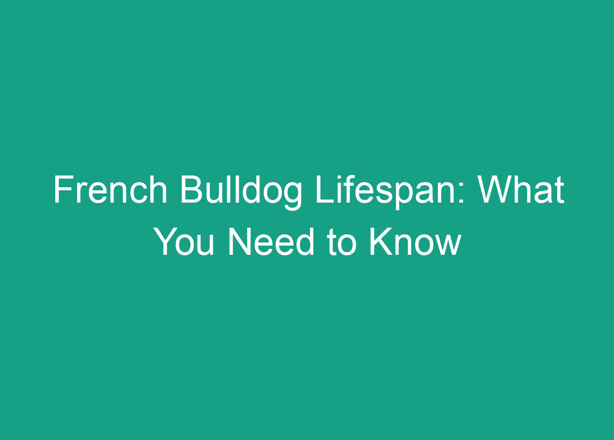 French Bulldog Lifespan: What You Need To Know