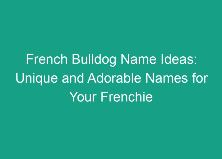 French Bulldog Name Ideas: Unique and Adorable Names for Your Frenchie