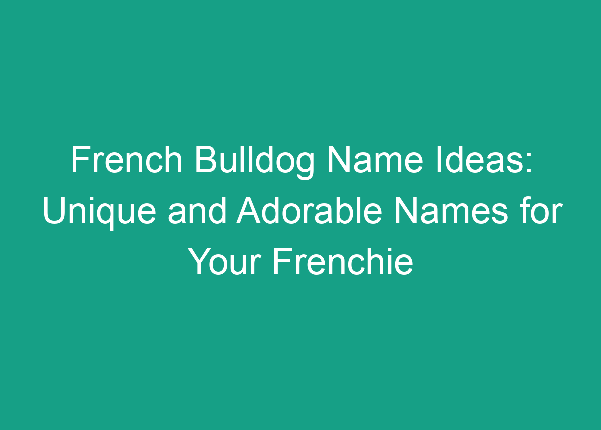 french-bulldog-name-ideas-unique-and-adorable-names-for-your-frenchie