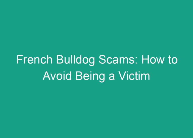 French Bulldog Scams: How to Avoid Being a Victim