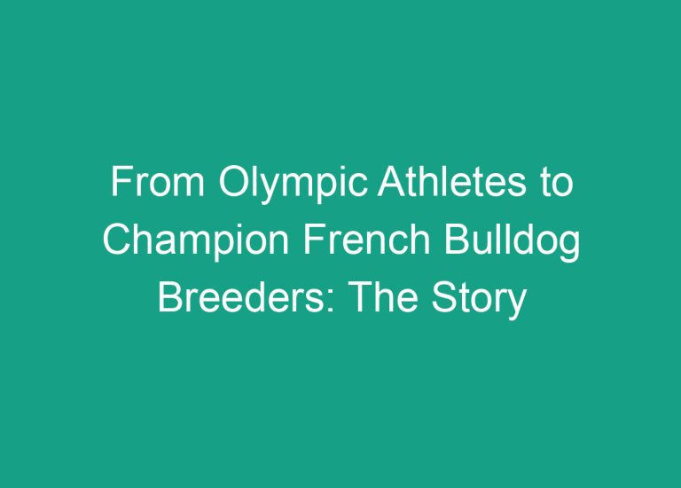 From Olympic Athletes to Champion French Bulldog Breeders: The Story of Tomkings Puppies