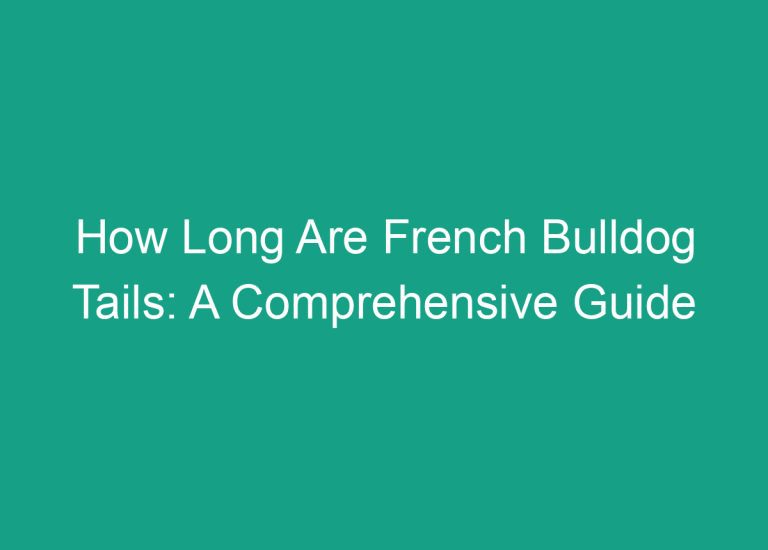 How Long Are French Bulldog Tails: A Comprehensive Guide