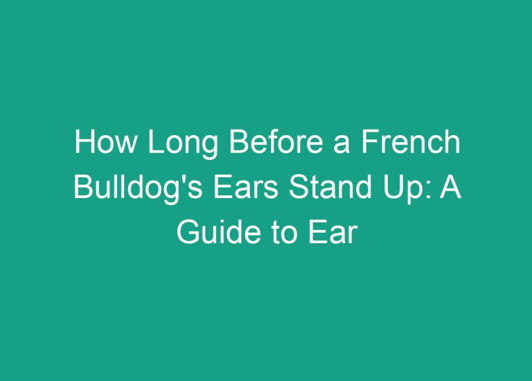 How Long Before a French Bulldog’s Ears Stand Up: A Guide to Ear Development