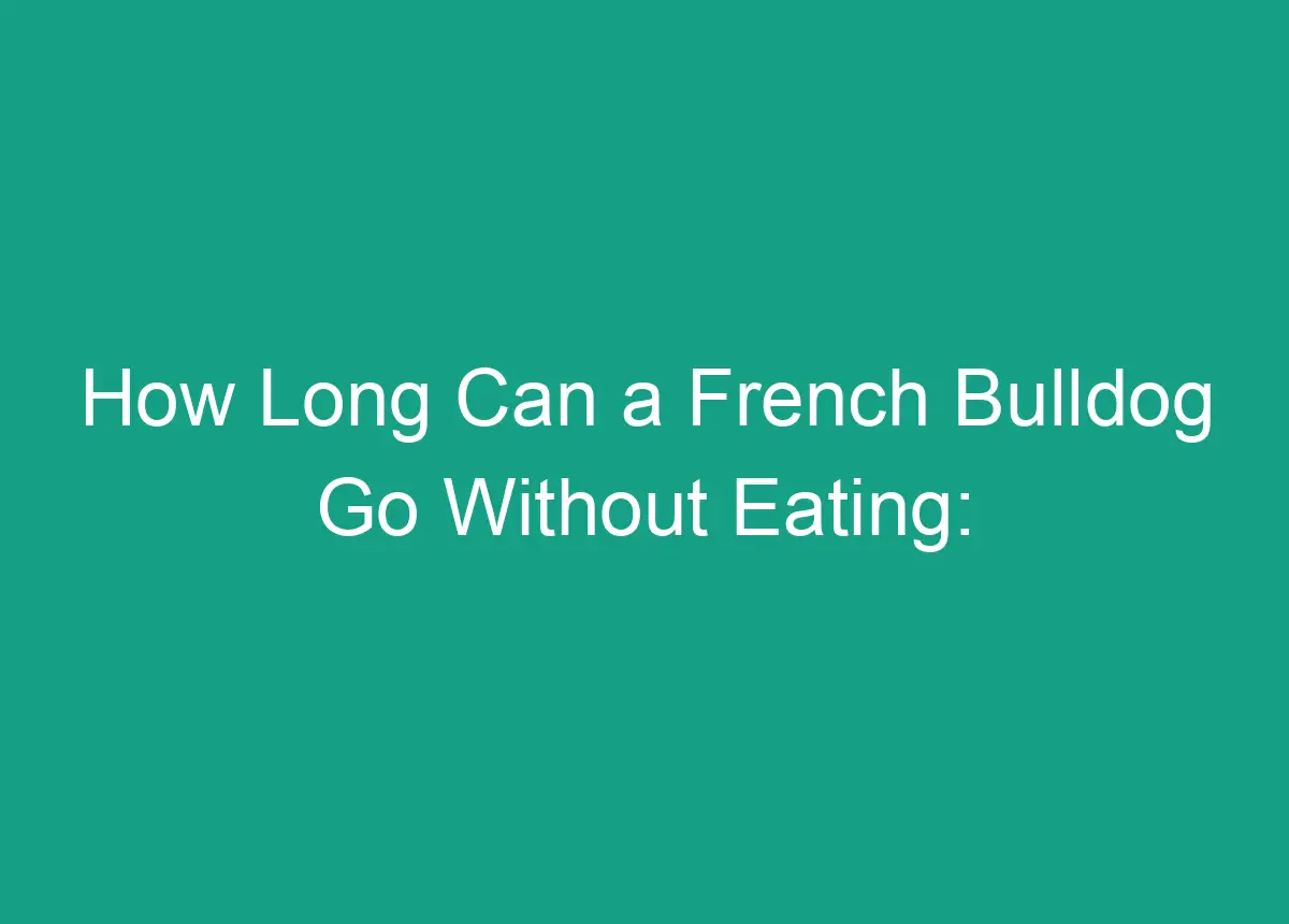 How Long Can A French Bulldog Go Without Eating: Expert Insights