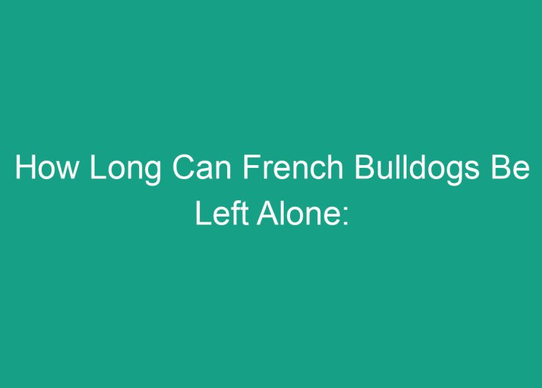 How Long Can French Bulldogs Be Left Alone: Expert Advice