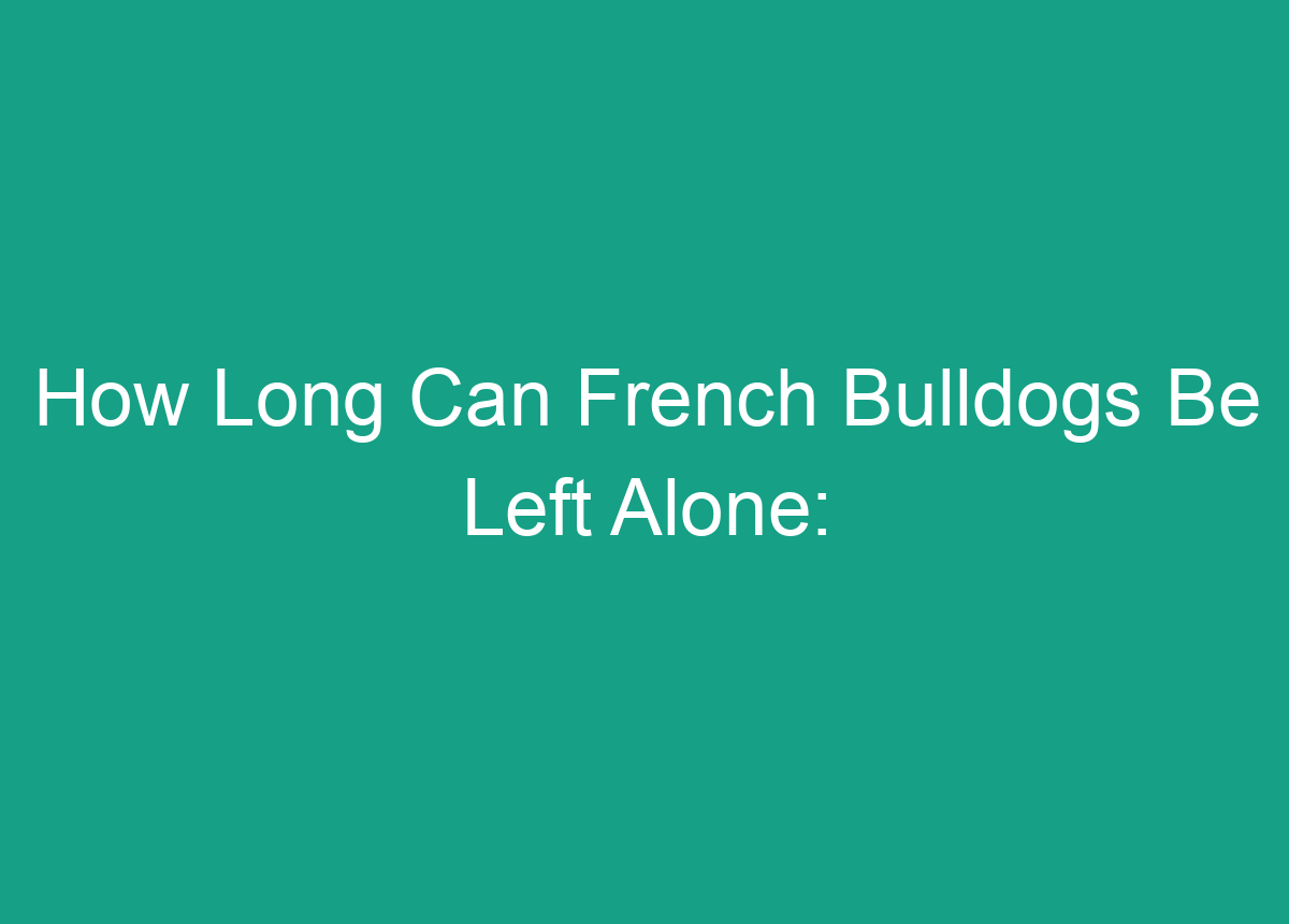 How Long Can French Bulldogs Be Left Alone: Expert Advice