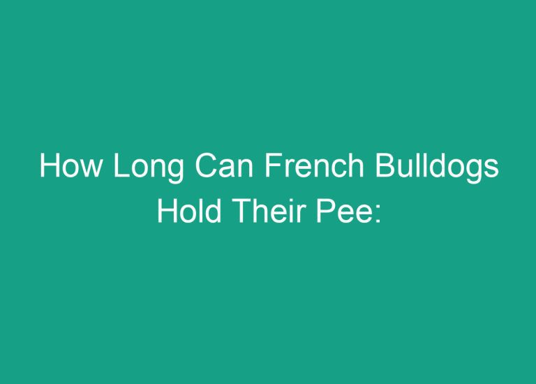 How Long Can French Bulldogs Hold Their Pee: Expert Insights