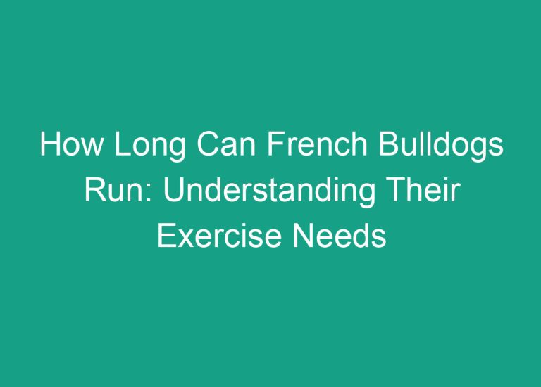 How Long Can French Bulldogs Run: Understanding Their Exercise Needs