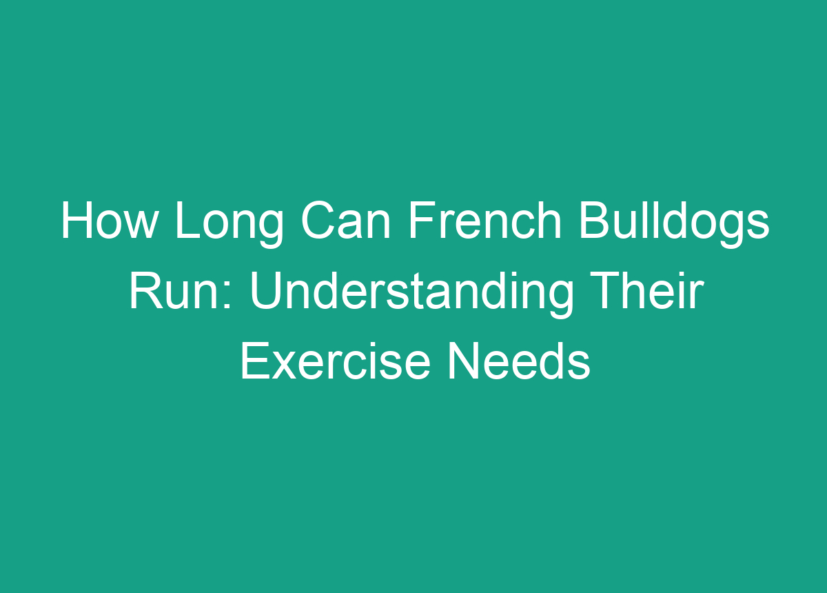 How Long Can French Bulldogs Run: Understanding Their Exercise Needs