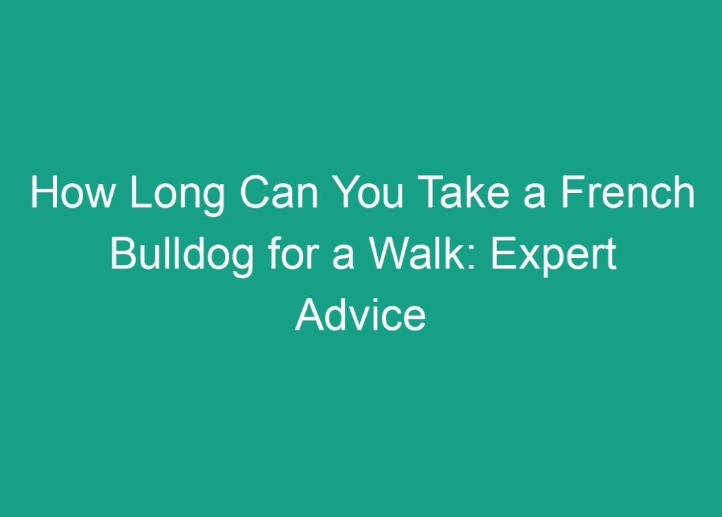 How Long Can French Bulldogs Safely Stay Outside In The Heat how-long-can-french-bulldogs-safely-stay-outside-in-the-heat