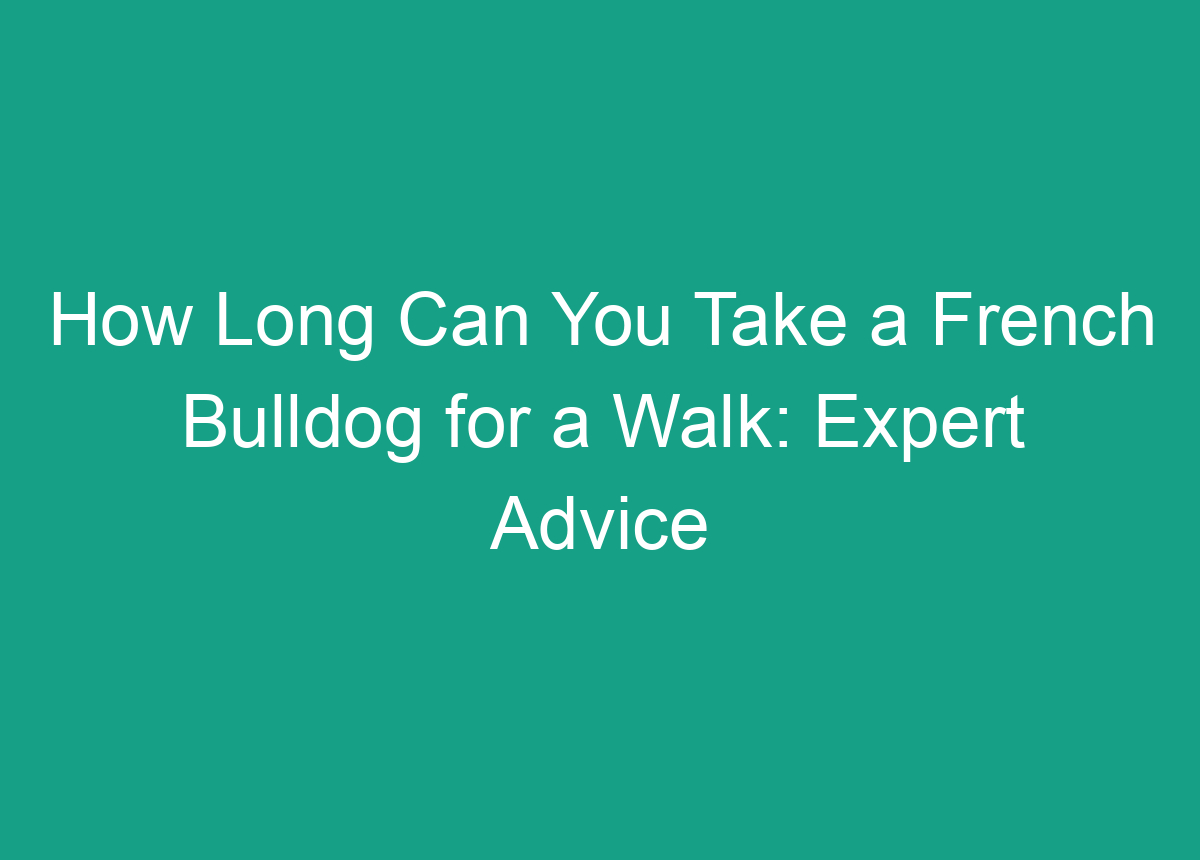 How Long Can You Take A French Bulldog For A Walk Expert Advice how-long-can-you-take-a-french-bulldog-for-a-walk-expert-advice