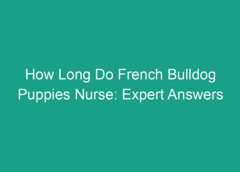 How Long Do French Bulldog Puppies Nurse: Expert Answers