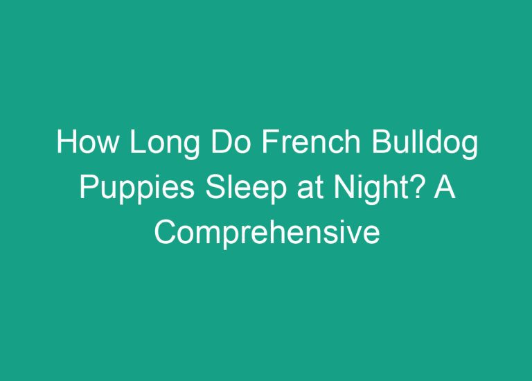 How Long Do French Bulldog Puppies Sleep at Night? A Comprehensive Guide