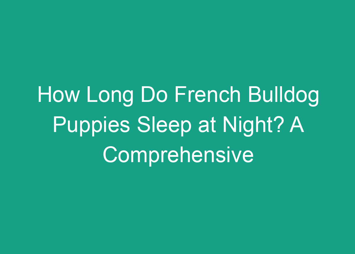 How Long Do French Bulldog Puppies Sleep At Night? A Comprehensive Guide