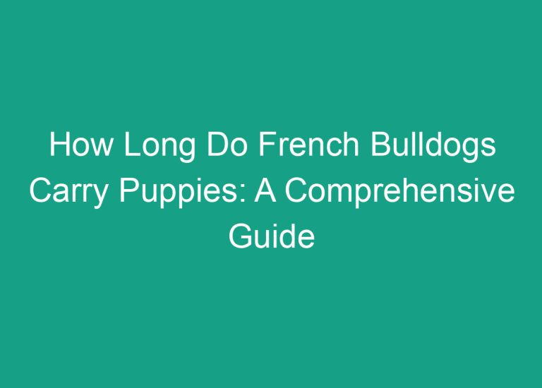 How Long Do French Bulldogs Carry Puppies: A Comprehensive Guide