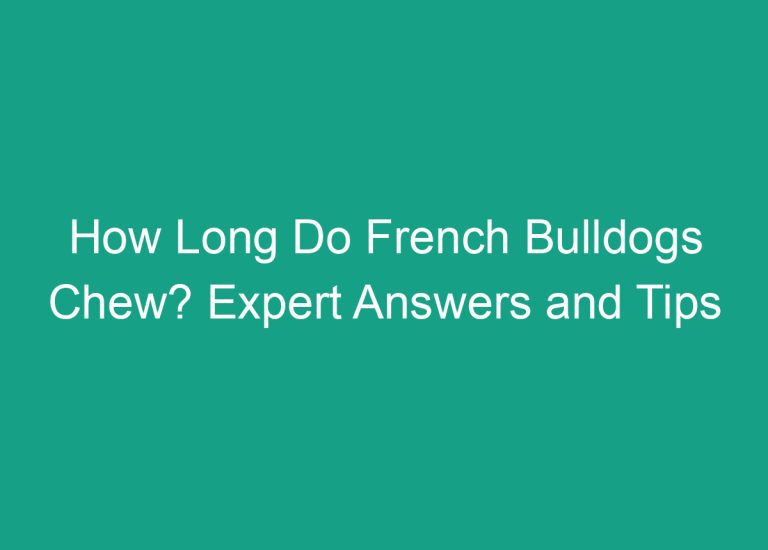 How Long Do French Bulldogs Chew? Expert Answers and Tips