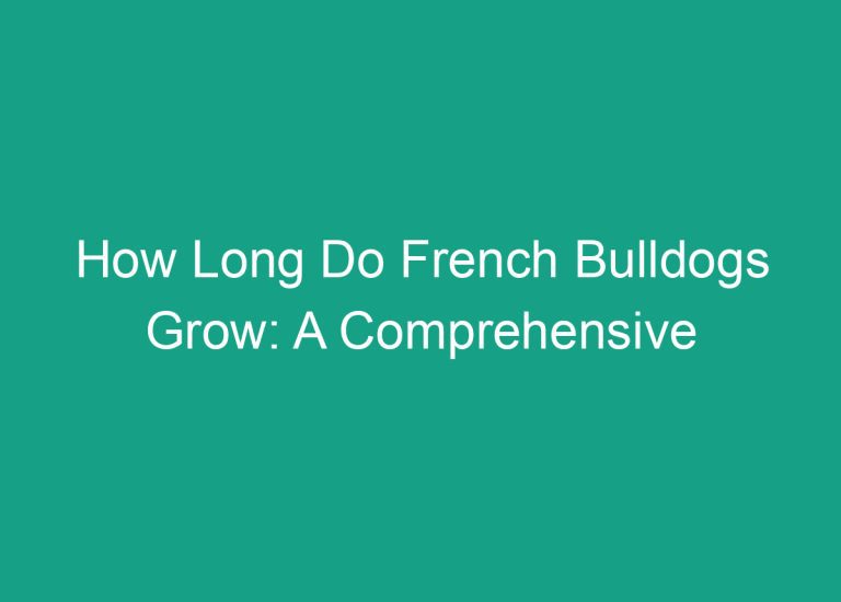 How Long Do French Bulldogs Grow: A Comprehensive Guide